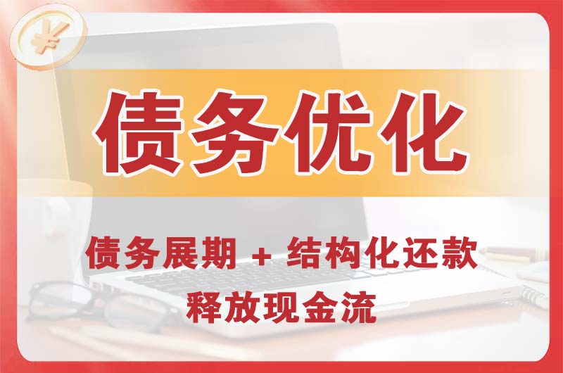 咸宁债务优化