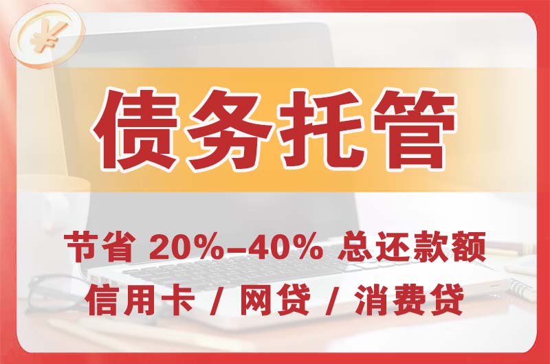 咸宁债务托管